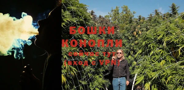 индика Кодинск
