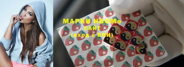 индика Кодинск