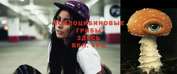 индика Кодинск