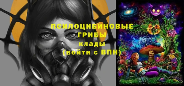 кристаллы Козловка