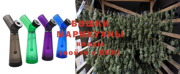 индика Кодинск